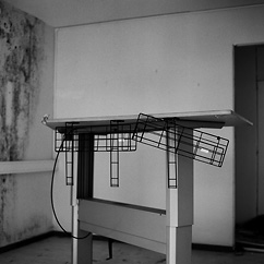 Still standing