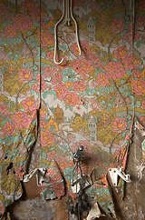 Off the wall paper #2