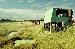 Transport belts and other machinery #2