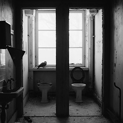 KVS Sanatorium
