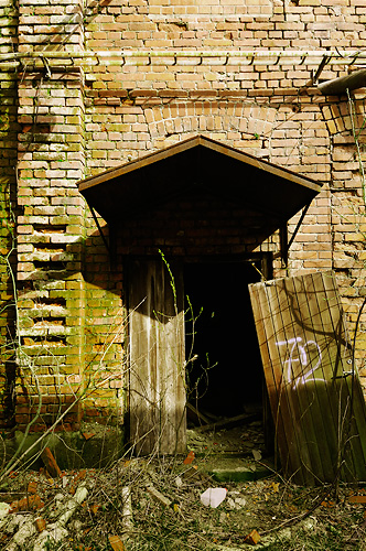 Decaying doorway  With roof