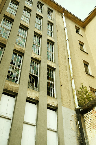 Stairway windows