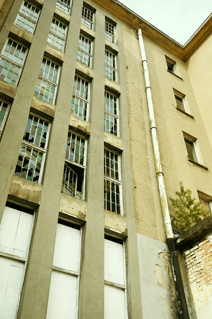 Stairway windows