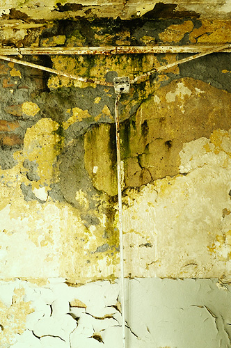 These walls don't lie #1