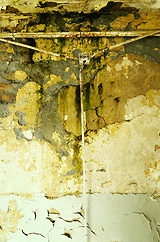 These walls don't lie #1