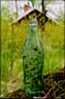 Absolut old coke bottle