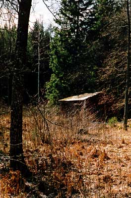 The other house