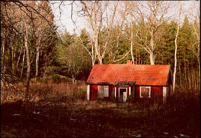 February 2000