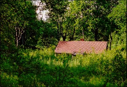 July 2000