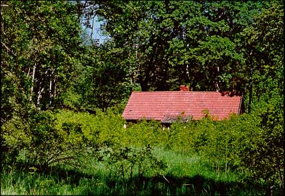 June 2000