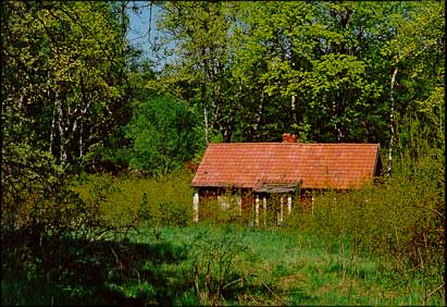 May 2000