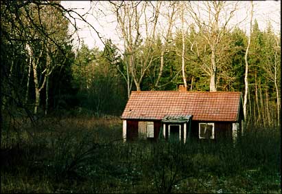 November 1999