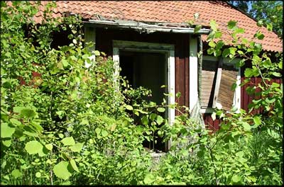 �The overgrown entrance