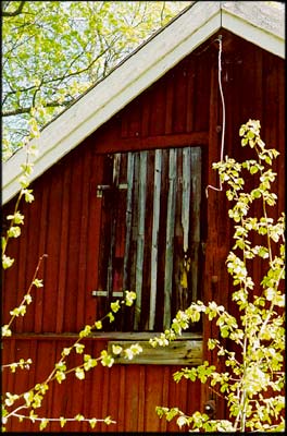 To the attic