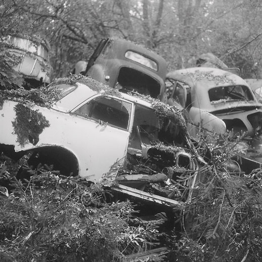 Båstnäs bilkyrkogård. Värmland, Sweden.