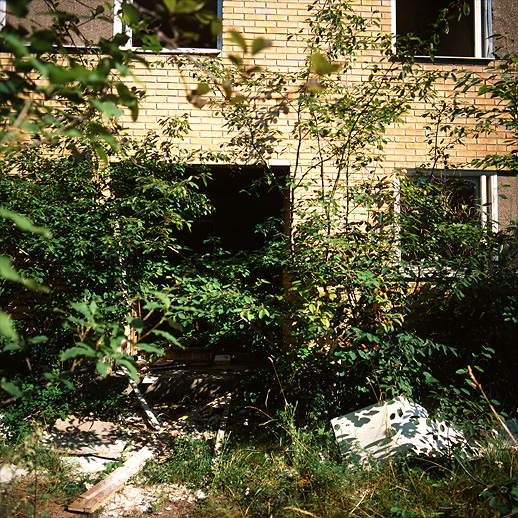 Lush surroundings at Hästhagen, Söderfors, Sweden. August 2004.