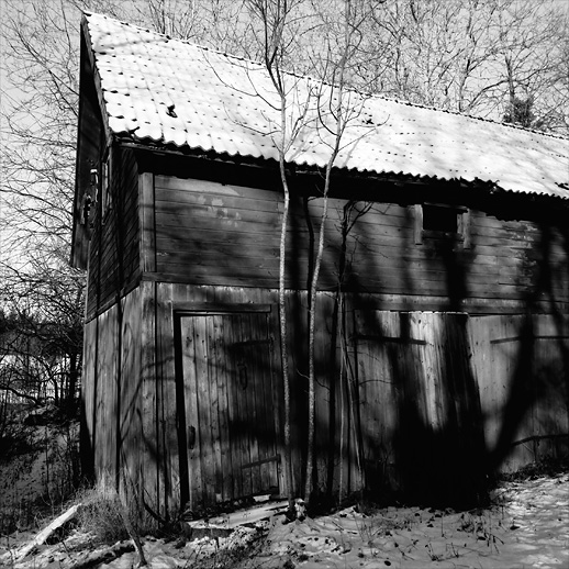The connecting barn at Vinterdvalan. Uppland, Sweden. December 2006.
