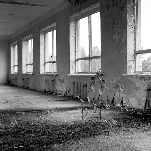 Upper floor growth at AG Barracks. Former DDR, Germany. October 2012.