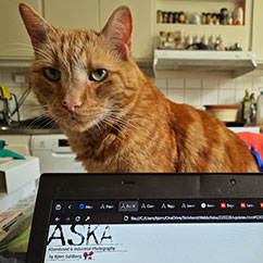 Coding with Cat compatible.